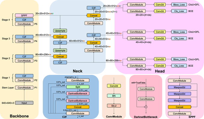 Kiến trúc tổng quan của YOLOv8
